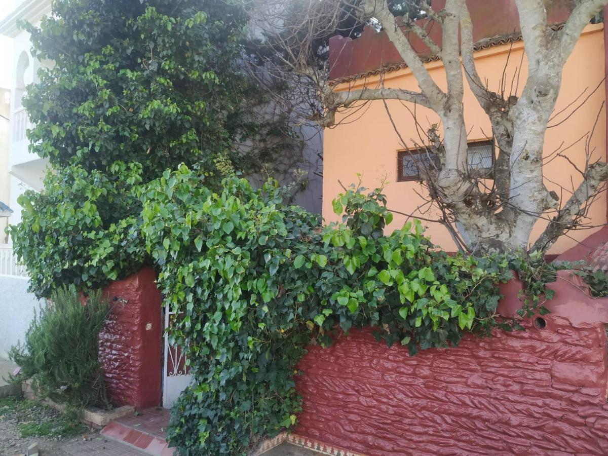 Dar El Pirata Hostel Asilah Buitenkant foto
